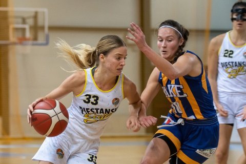 Piešťanské Čajky vs. YOUNG ANGELS