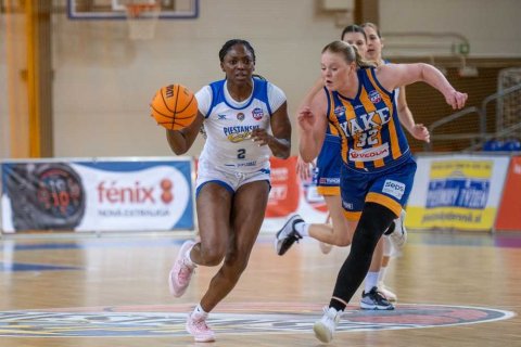 Piešťanské Čajky vs. YOUNG ANGELS Košice