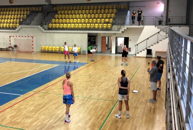 Piešťanské Čajky, príprava na sezónu 2016-17