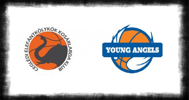 Prípravné zápasy VBW CEKK Cegléd – YOUNG ANGELS Košice