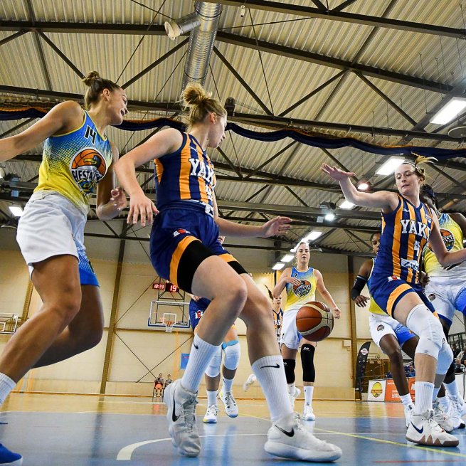 Piešťanské Čajky vs. YOUNG ANGELS Košice (Foto: Laco Duračka)