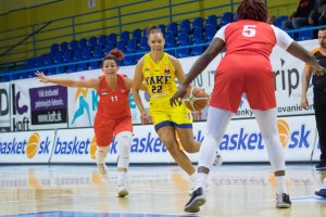 Najprv kariéra vo WNBA, potom šľachetné poslanie